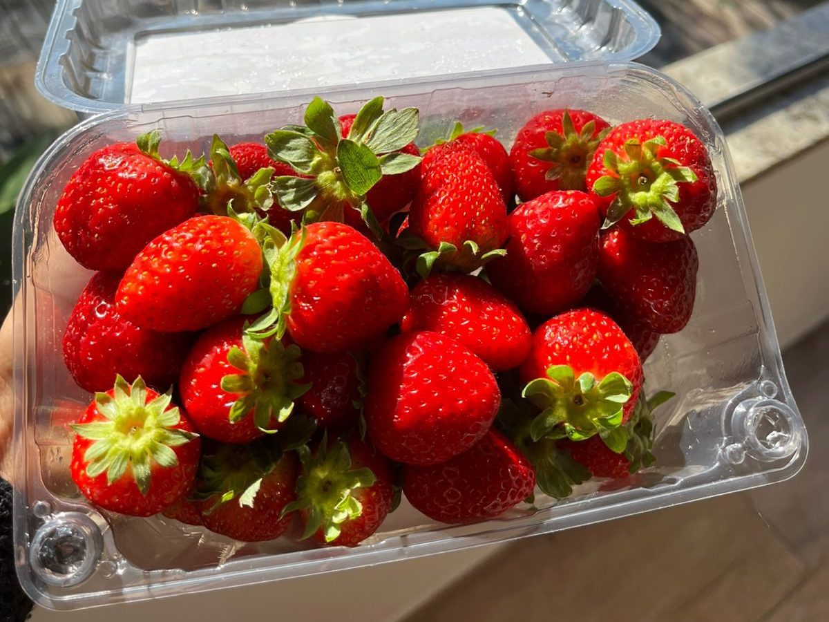 ✨Geleia de Morango