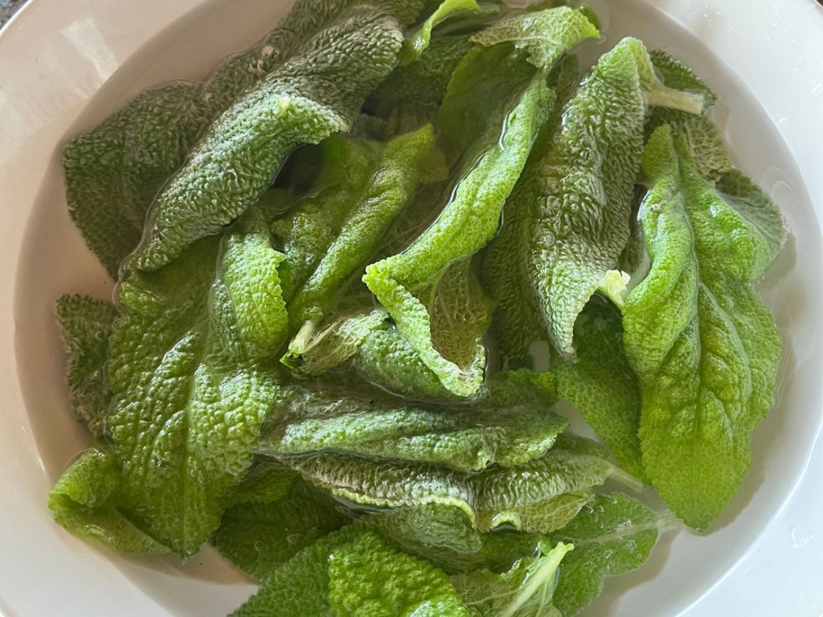 ✨ PANCs na alimentação cotidiana: o peixinho-da-horta